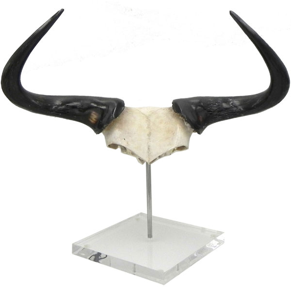 Jella Buffalo Horn Jewelry 310